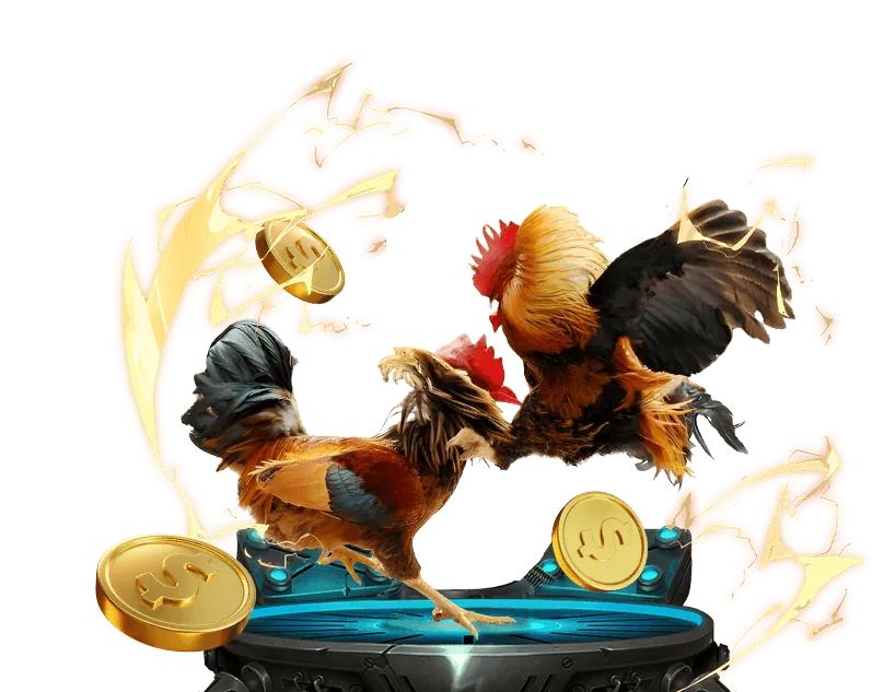 Đá gà KKWIN